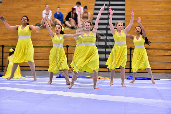 Hillsborough B Guard-1334