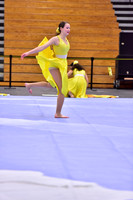 Hillsborough B Guard-1265