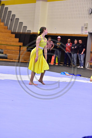 Hillsborough B Guard-1275