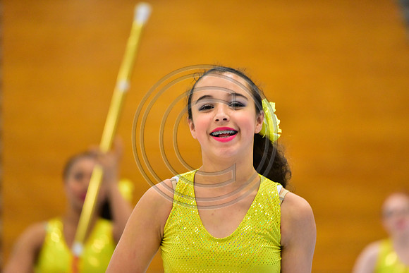 Hillsborough B Guard-1305