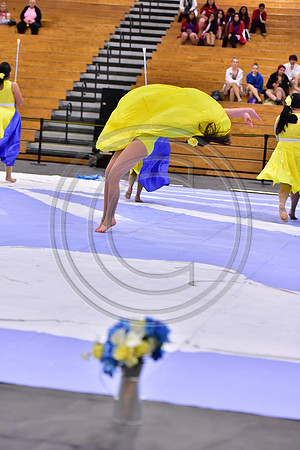 Hillsborough B Guard-1324
