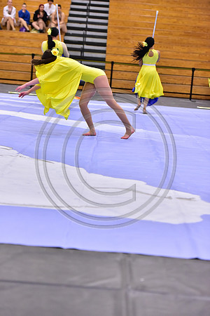 Hillsborough B Guard-1326