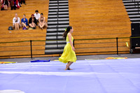 Hillsborough B Guard-1260