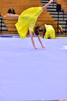 Hillsborough B Guard-1269