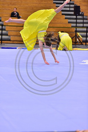 Hillsborough B Guard-1269
