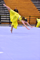 Hillsborough B Guard-1268