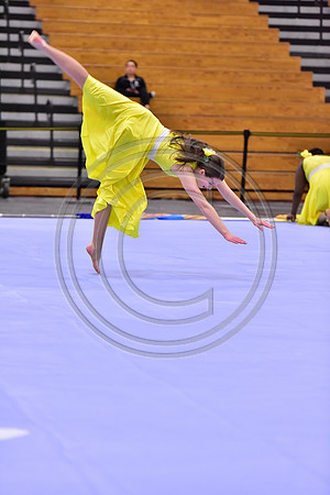 Hillsborough B Guard-1268