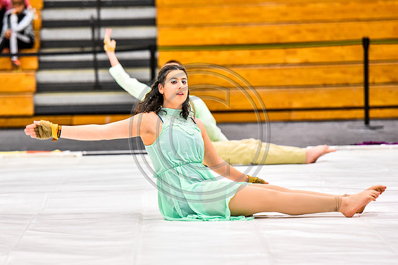 Fair Lawn Guard-1252