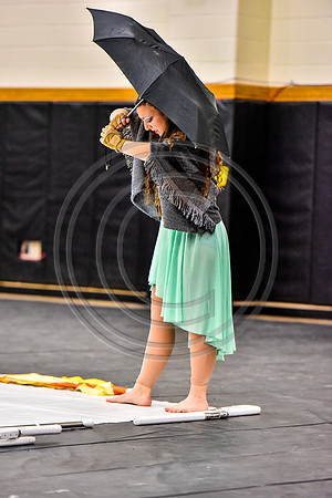 Fair Lawn Guard-1248