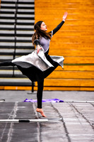 Woodbridge Guard-662