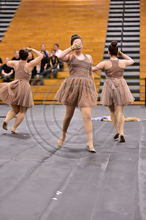 Fair Lawn Guard-301