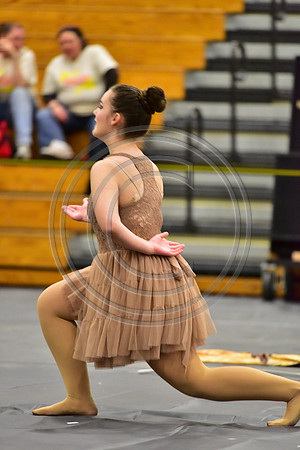 Fair Lawn Guard-298