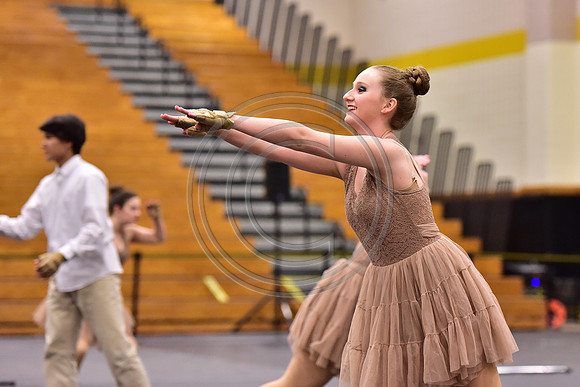 Fair Lawn Guard-310