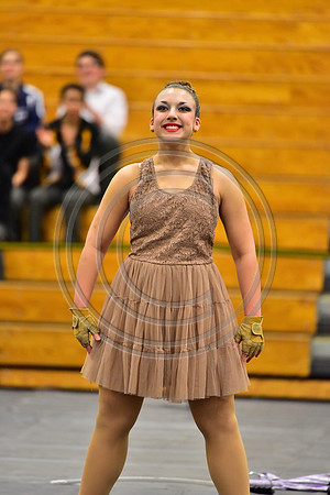 Fair Lawn Guard-290