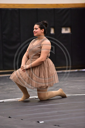 Fair Lawn Guard-326