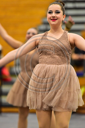 Fair Lawn Guard-299