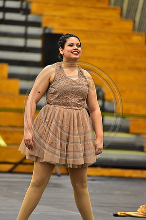 Fair Lawn Guard-295