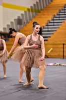 Fair Lawn Guard-303