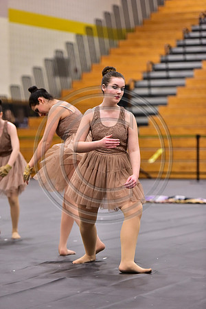 Fair Lawn Guard-303