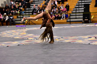 Mineola Guard-1311