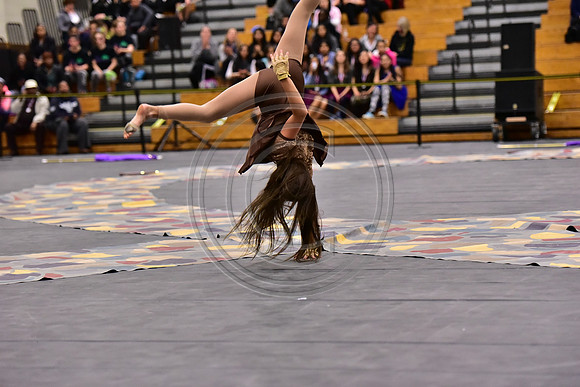 Mineola Guard-1311