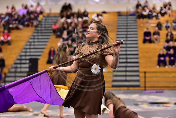 Mineola Guard-1335