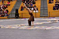 Mineola Guard-1305