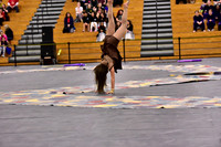 Mineola Guard-1304