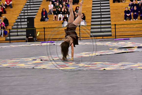 Mineola Guard-1304