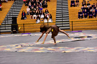 Mineola Guard-1303