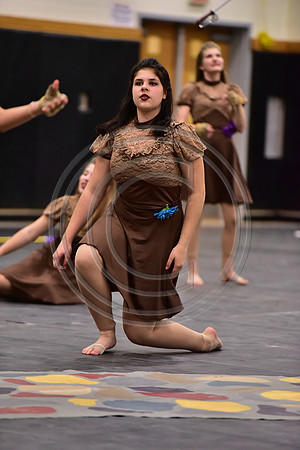 Mineola Guard-1320