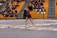 Mineola Guard-1310