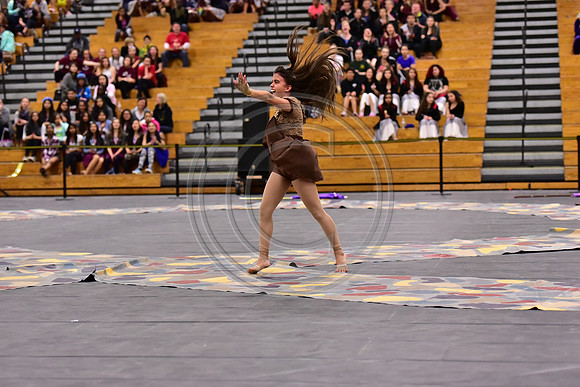 Mineola Guard-1310