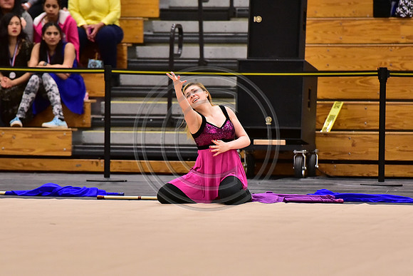 Plymouth Whitemarsh Guard-1154