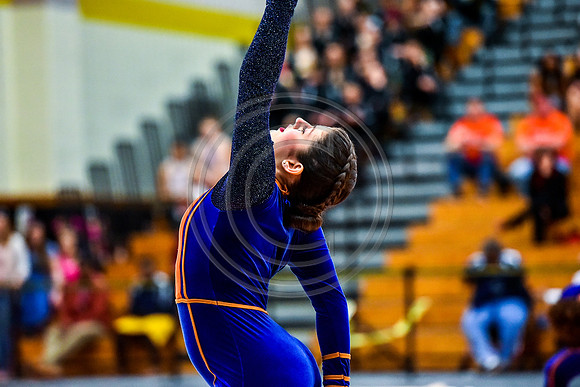 Mineola Guard-2121