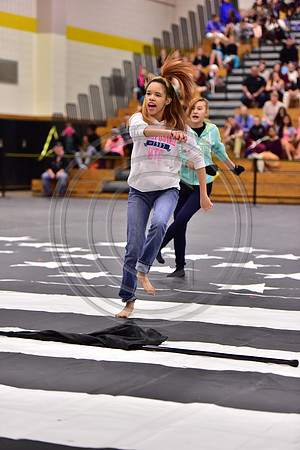 Snyder Winterguard-1525