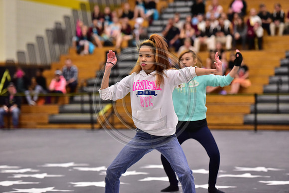 Snyder Winterguard-1530
