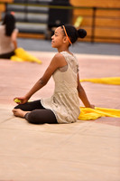 Northern Burlington County Regional MS  Guard-005