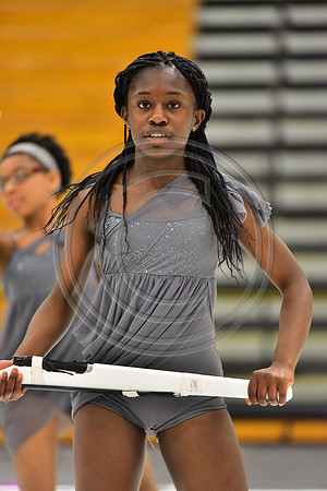 Elmont Guard-480