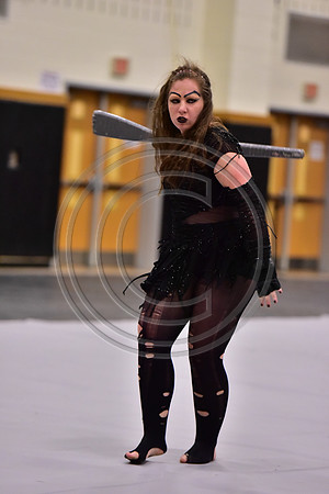 Council Rock North Guard-010