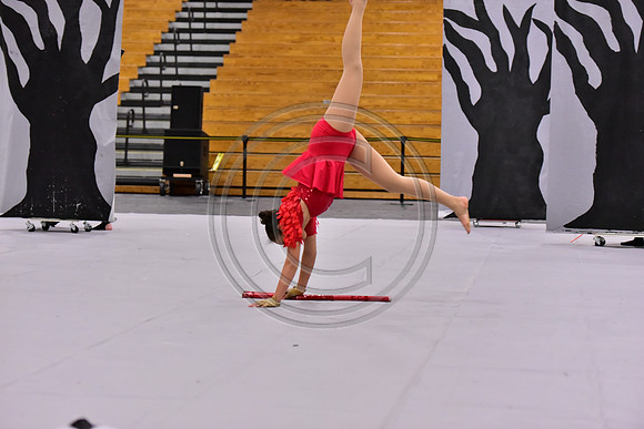Council Rock North Guard-023