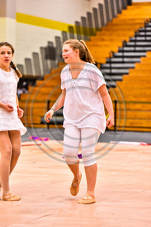 Morristown Guard-905