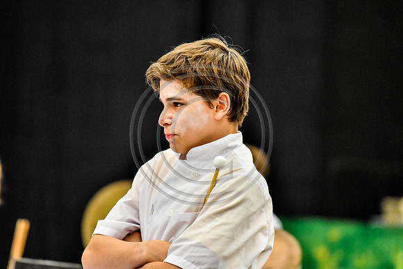 Governor Mifflin Percussion_170504_Wildwood-5011