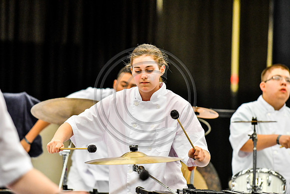 Governor Mifflin Percussion_170504_Wildwood-5010