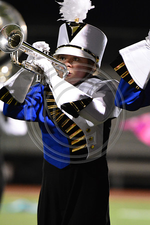 Cedar Cliff High School Colts-464