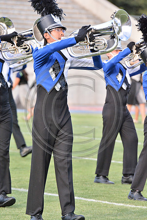Blue Devils B-833