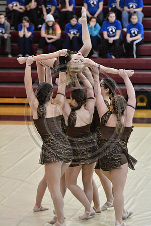 Rhythm in Motion Open Dance-330