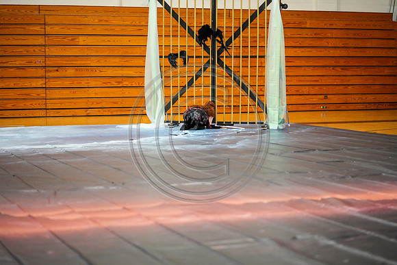 Hatboro-Horsham Guard_230325_Hatboro-Horsham-01854