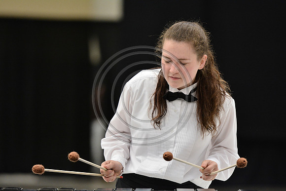 Triton Regional Percussion-191