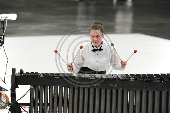 Triton Regional Percussion-303